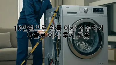 10만원으로 원룸 이사 성공하기! 나홀로 이사 후기 모음